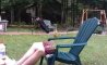 Fun Pic - Donnerstag Fun PicDump #462 - 11