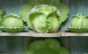 Fun Pic - Donnerstag Fun PicDump #462 - 123