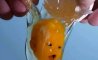 Fun Pic - Donnerstag Fun PicDump #480 - 30