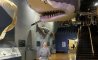 Fun Pic - Donnerstag Fun PicDump #504 - 85
