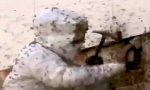 Lustiges Video : Bienenhaus