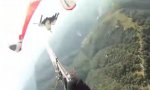 Adler vs Paraglider