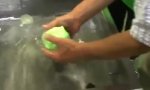 Funny Video : Japanischer Eisbergsalat