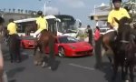 Lustiges Video : Ferrari sucht neue Galionsfigur