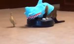 Katzen-Roboter-Hai auf der Jagd
