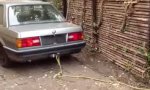 Lustiges Video : Baumstumpf rausziehen mit BMW