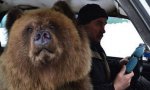 Donnerstags Fun PicDump #133