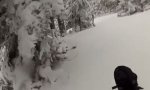 Lustiges Video : Unerwartete Begegnung beim Powder Skiing