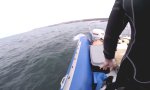 Movie : Mit Schlauchboot in Hai-Gewässern