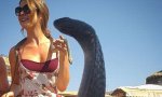 Fun Pic - Donnerstags Fun PicDump #164