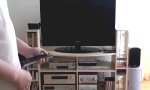 Funny Video : Es ist eben, wie es ist
