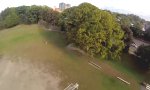 Lustiges Video : Falke vs. Drohne