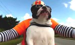 Badass Biker Dogge