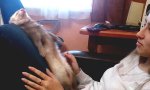 Lustiges Video - Frettchen-Hypnose