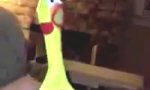 Funny Video : Love Story zum Valentinstag