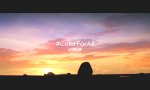 Lustiges Video : Farbenblind?