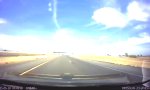 Wilder Mustang auf der Autobahn
