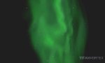 Lustiges Video - Wale und Nordlichter