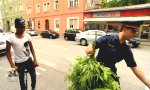 Movie : Gras?