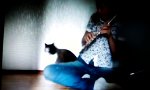 Funny Video : Katze mag keine Blasinstrumente