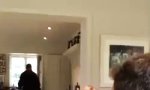 Funny Video : Fang, Mudda!                 