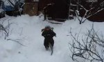 Funny Video : Was hüpft denn da durch den Schnee?