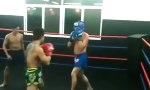 Straßenkämpfer fordert Muay Thai Fighter heraus                 