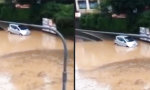 Lustiges Video : Verstand weggespült