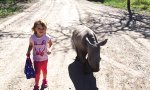 Funny Video : Mit dem Nashorn Gassi gehen