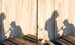 Lustiges Video - Good Job!