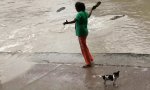 Funny Video : Das ist mein Hund!