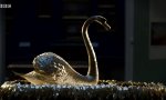 Funny Video - Mechanischer Schwan aus dem 18.Jh