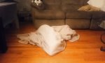 Movie : Der Geist im Wohnzimmer