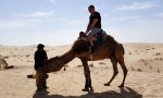 Movie : Unsanfter Abstieg vom Kamel
