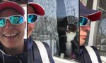 Movie : Nicht nur Hunde hassen Briefträger