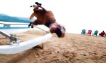 Jurassic Parkour