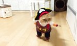 Funny Video : Piratenmuschi