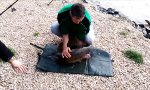 Funny Video - Karpfen macht sich aus dem Staub