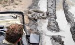 Lustiges Video : Python versperrt den Weg