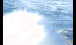 Lustiges Video - Auf die Welle warten