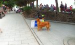 Hund macht Werbung für Imbissbude