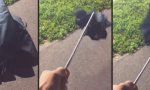 Movie : Halbautomatischer Pfützenassistent