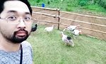 Movie : Turkeysch Lernen für Anfänger