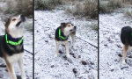 Movie : Hallo erster Schnee!