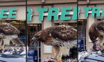 Movie : Frühstück am Parkplatz