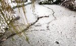 Movie : Der erste ist der Eisbrecher