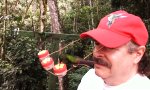 Lustiges Video : Kolibri-Fütterung in 3D