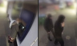 Funny Video : Man bekommt, was man verdient