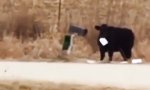 Lustiges Video : Posträuber