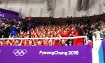 Strukturierter Fanblock bei den Olympischen Spielen